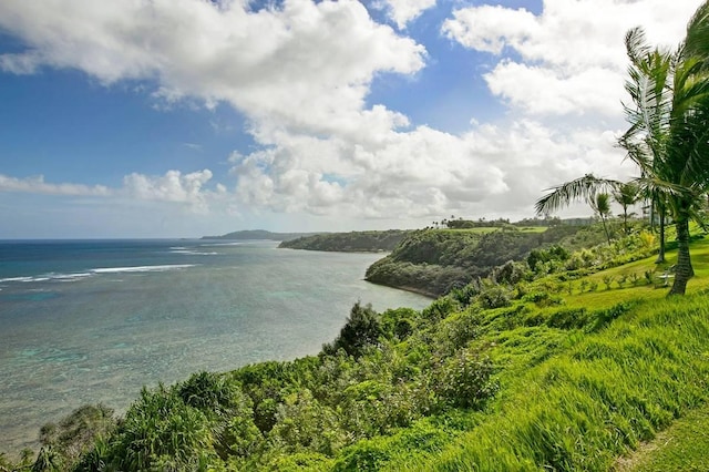 3700 Kamehameha Rd Unit B8, Princeville, HI 96722 - photo 27