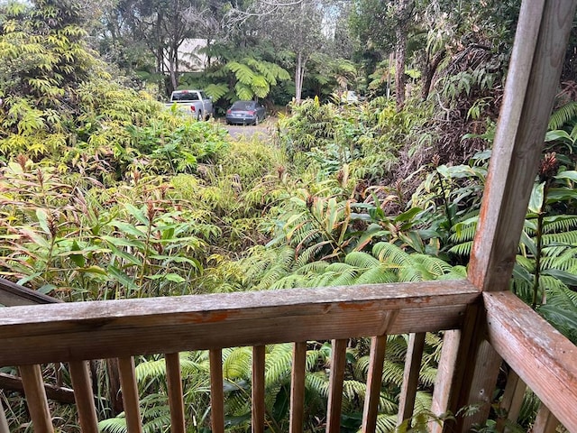 11-3973 Liona St, Volcano, HI 96785 - photo 5