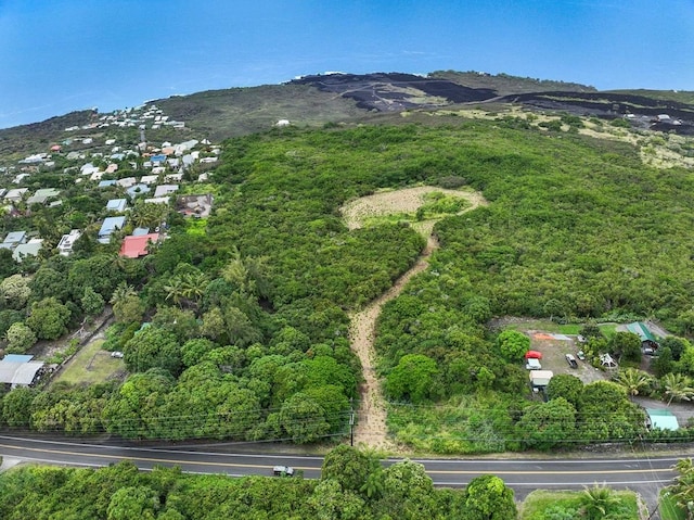Mamalahoa Hwy, Captain Cook, HI 96704 - photo 2