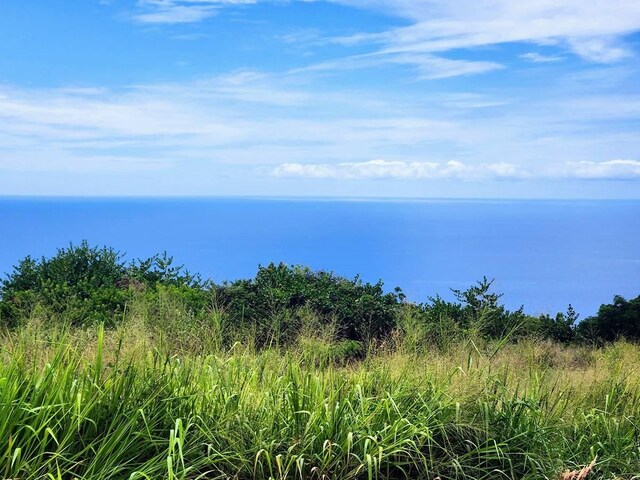 Mamalahoa Hwy, Captain Cook, HI 96704 - photo 5
