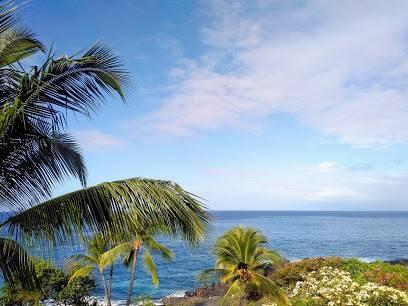 Mamalahoa Hwy, Captain Cook, HI 96704 - photo 8