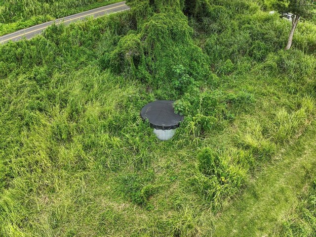 Mamalahoa Hwy, Captain Cook, HI 96704 - photo 9