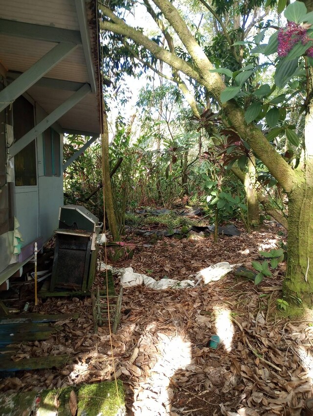 15-1907 13th Ave, Keaau, HI 96749 - view of yard