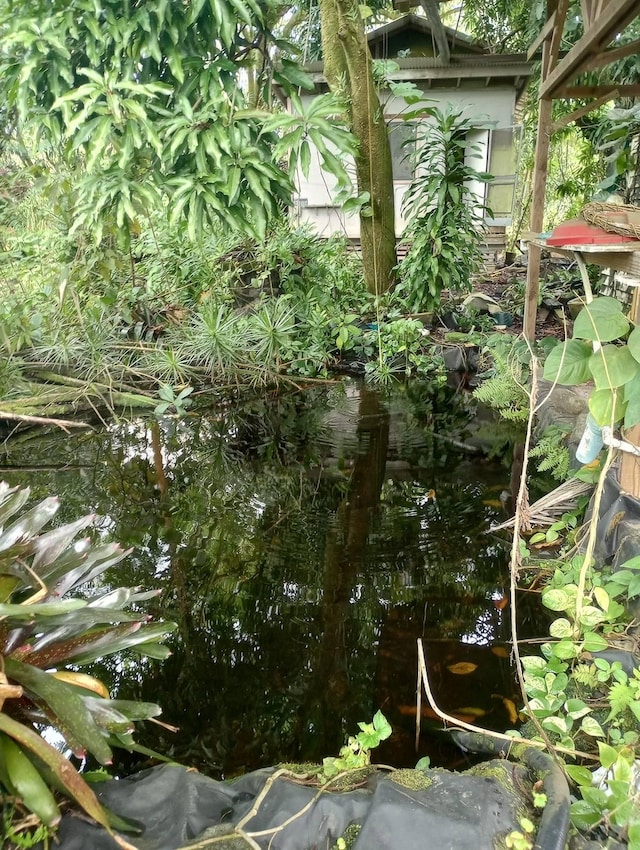 15-1907 13th Ave, Keaau, HI 96749 - view of undeveloped land with a small pond