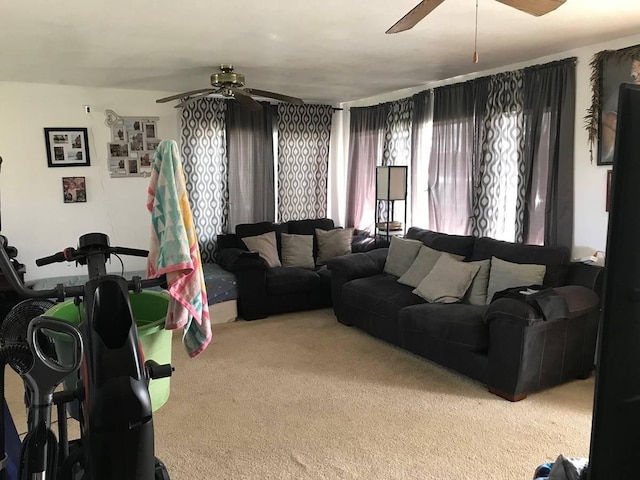 54-382 Union Mill Rd, Kapaau, HI 96755 - photo 19