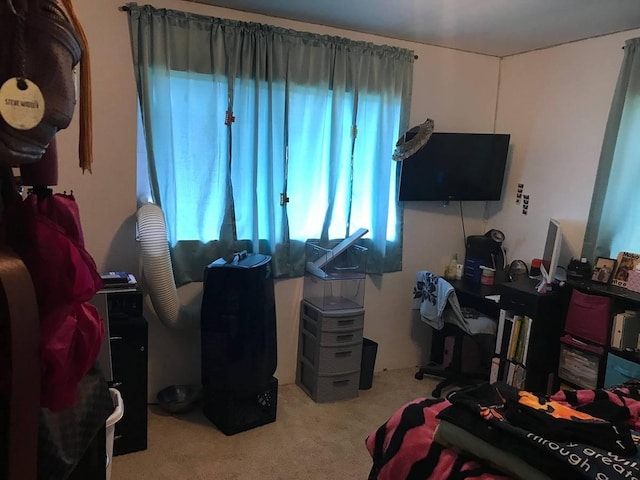 54-382 Union Mill Rd, Kapaau, HI 96755 - photo 27