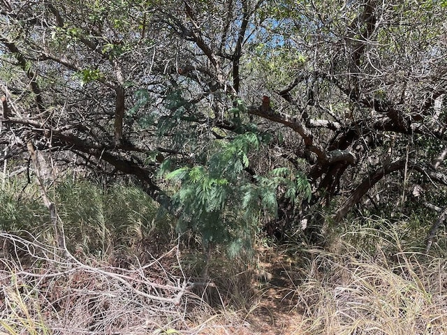 Poko St, Naalehu, HI 96772