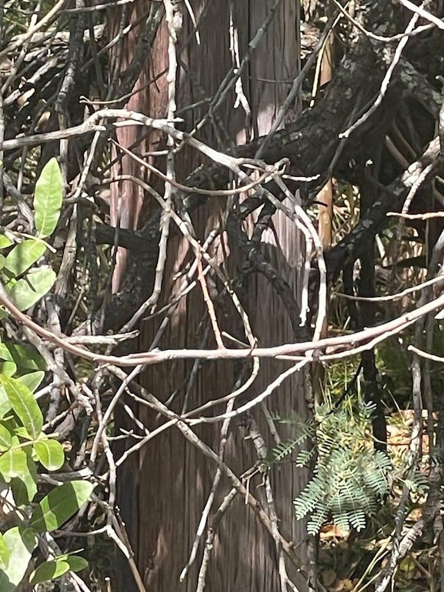 Poko St, Naalehu, HI 96772