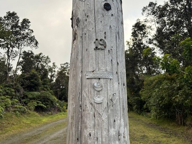 11-3845-A Nahelenani St, Volcano, HI 96785 - photo 2