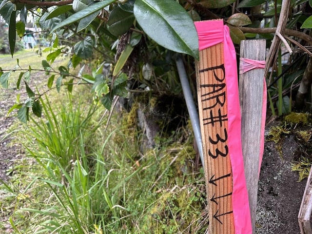 11-3845-A Nahelenani St, Volcano, HI 96785 - photo 6