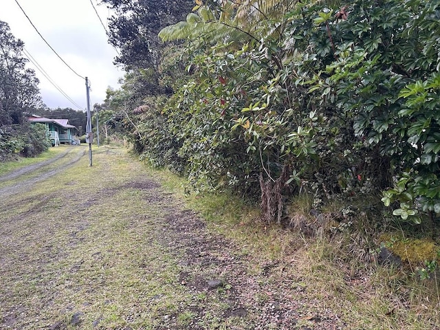 11-3845-A Nahelenani St, Volcano, HI 96785 - photo 7