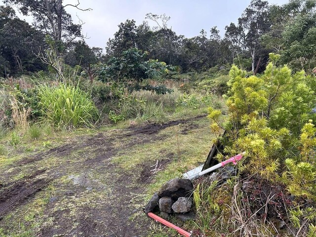 11-3845-A Nahelenani St, Volcano, HI 96785 - photo 8