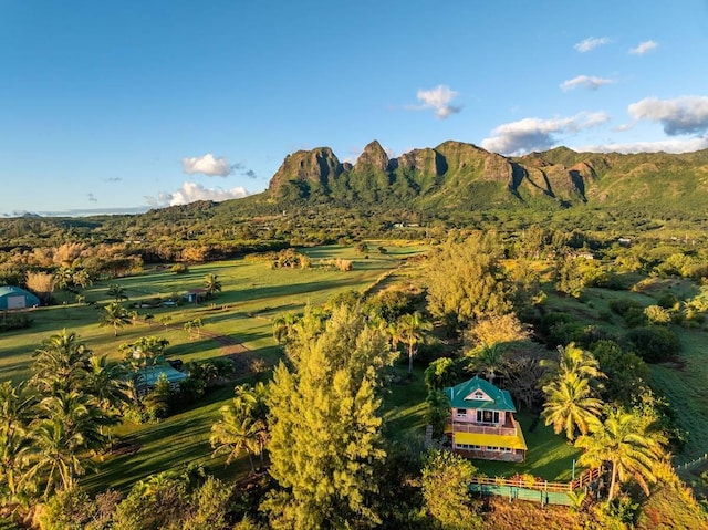 4-4940 Kuhio Hwy Unit A, Anahola, HI 96703 - view of mountain background