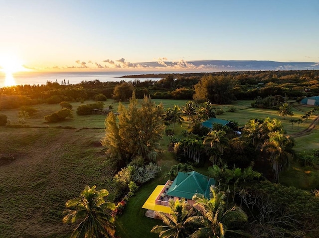 4-4940 Kuhio Hwy Unit A, Anahola, HI 96703 - aerial overview of property's location with a large body of water