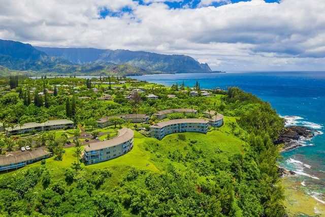 3780 Edward Rd Unit 7202, Princeville, HI 96722 - photo 24
