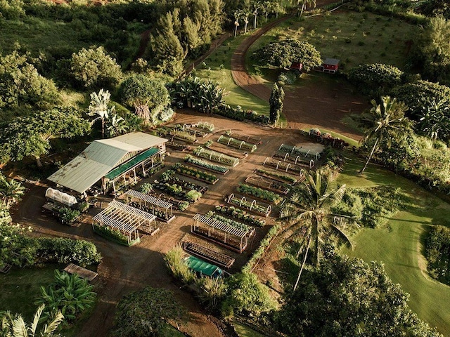 2840 Ke Alaula St Unit 3, Koloa, HI 96756 - photo 26
