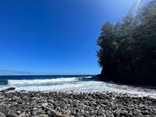 27-870 Old Mamalahoa Hwy, Pepeekeo, HI 96783