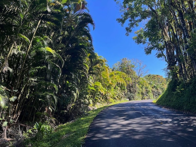 27-870 Old Mamalahoa Hwy, Pepeekeo, HI 96783