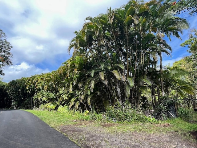 27-870 Old Mamalahoa Hwy, Pepeekeo, HI 96783