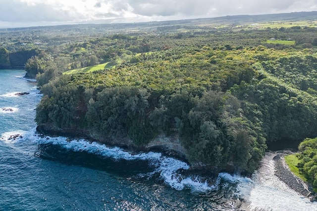 27-870 Old Mamalahoa Hwy, Pepeekeo, HI 96783