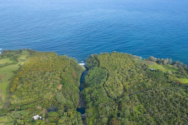 27-870 Old Mamalahoa Hwy, Pepeekeo, HI 96783