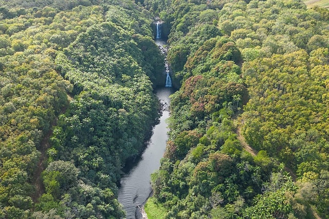 27-870 Old Mamalahoa Hwy, Pepeekeo, HI 96783