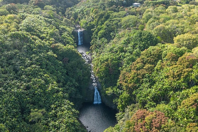 27-870 Old Mamalahoa Hwy, Pepeekeo, HI 96783