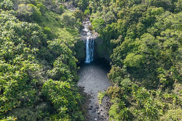 27-870 Old Mamalahoa Hwy, Pepeekeo, HI 96783