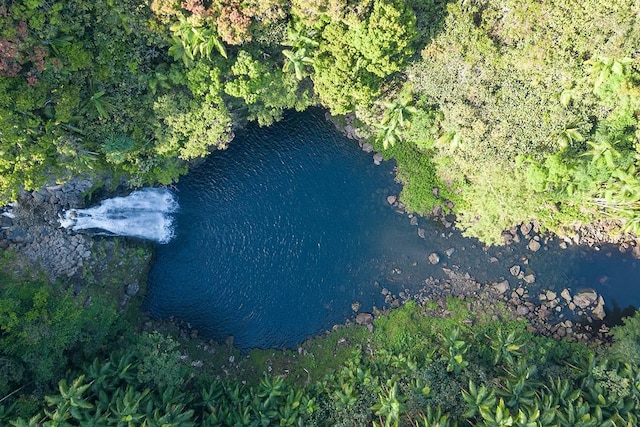 27-870 Old Mamalahoa Hwy, Pepeekeo, HI 96783