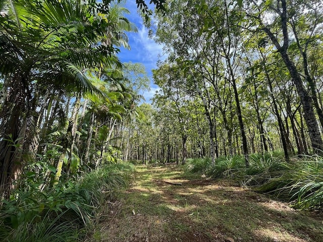 27-870 Old Mamalahoa Hwy, Pepeekeo, HI 96783