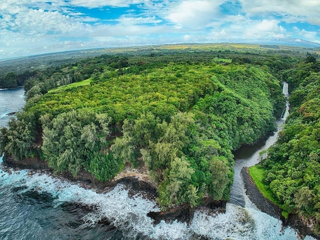 27-870 Old Mamalahoa Hwy, Pepeekeo, HI 96783