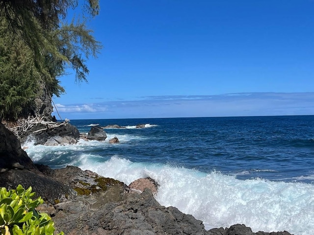 27-920 Old Mamalahoa Hwy, Pepeekeo, HI 96783 - photo 2