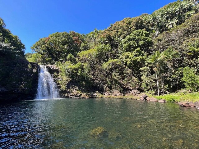 27-920 Old Mamalahoa Hwy, Pepeekeo, HI 96783 - photo 17