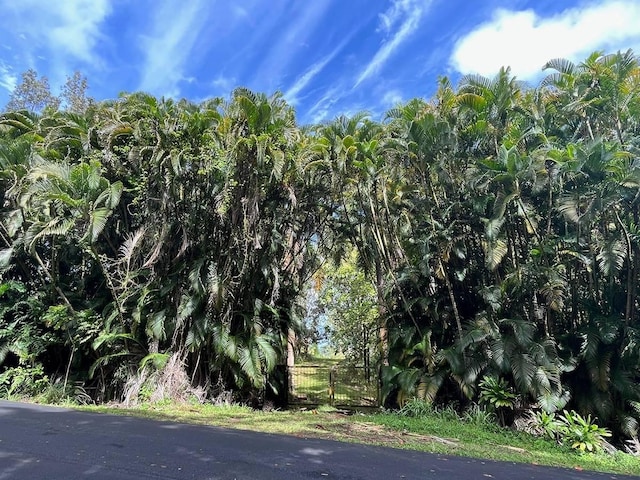 27-920 Old Mamalahoa Hwy, Pepeekeo, HI 96783 - photo 1