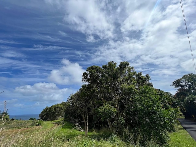 27-920 Old Mamalahoa Hwy, Pepeekeo, HI 96783 - photo 7