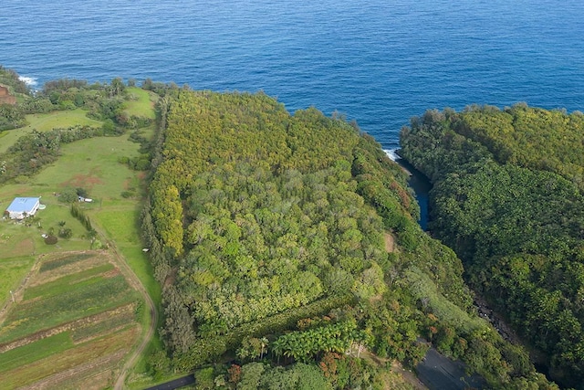 27-920 Old Mamalahoa Hwy, Pepeekeo, HI 96783 - photo 19