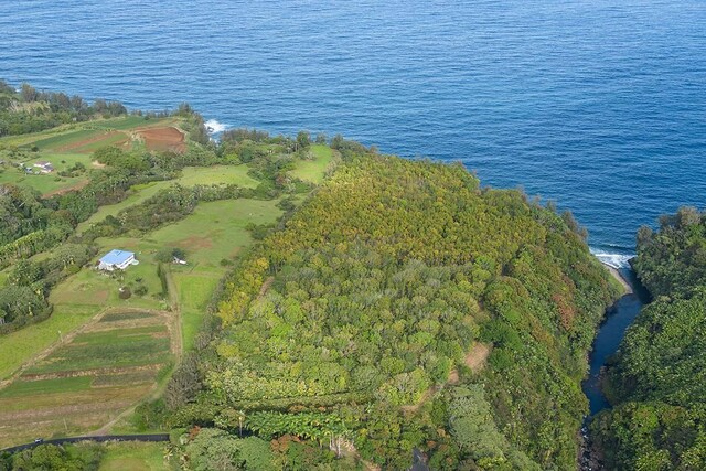 27-920 Old Mamalahoa Hwy, Pepeekeo, HI 96783 - photo 4