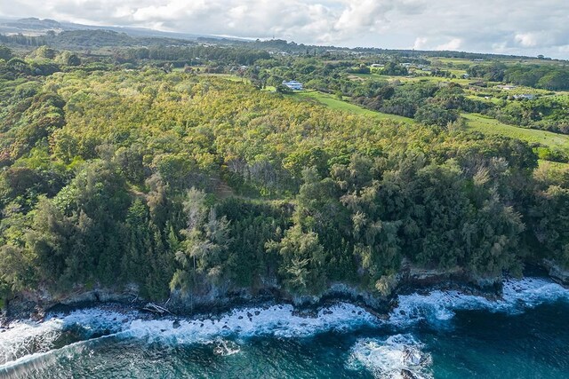 27-920 Old Mamalahoa Hwy, Pepeekeo, HI 96783 - photo 3