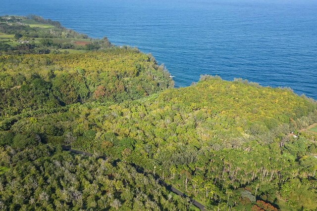 27-920 Old Mamalahoa Hwy, Pepeekeo, HI 96783 - photo 21