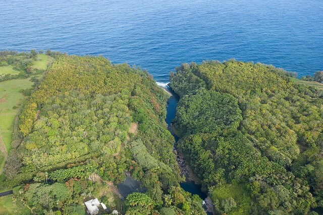 27-920 Old Mamalahoa Hwy, Pepeekeo, HI 96783 - photo 8