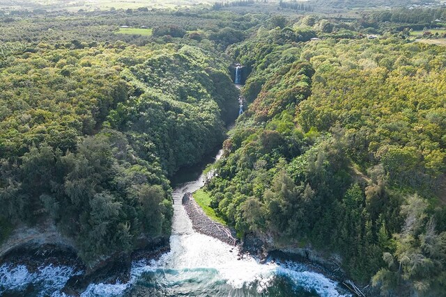 27-920 Old Mamalahoa Hwy, Pepeekeo, HI 96783 - photo 20