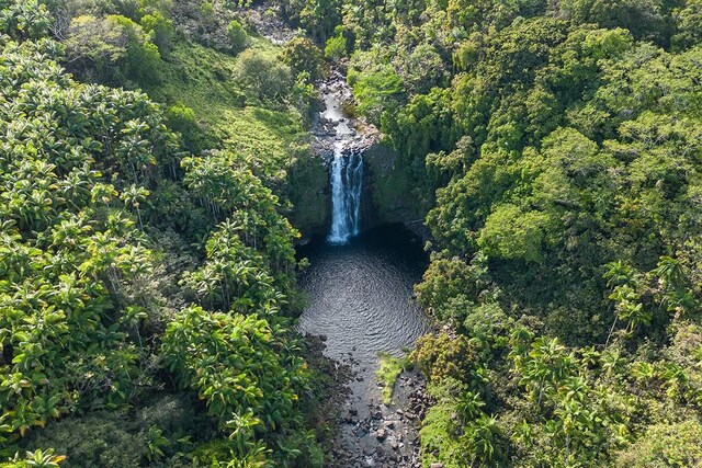27-920 Old Mamalahoa Hwy, Pepeekeo, HI 96783 - photo 26