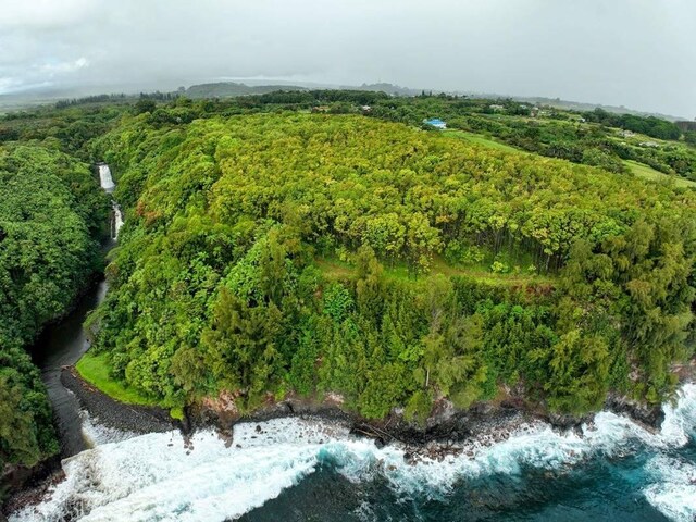 27-920 Old Mamalahoa Hwy, Pepeekeo, HI 96783 - photo 23
