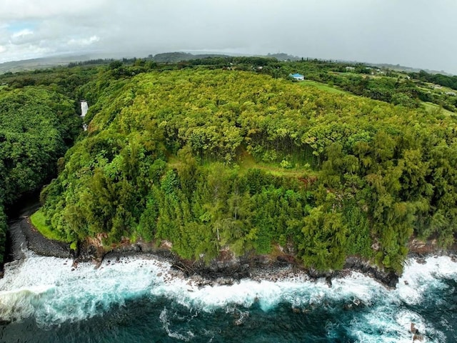 27-920 Old Mamalahoa Hwy, Pepeekeo, HI 96783 - photo 24