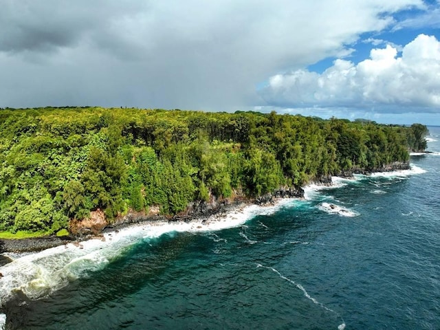 27-920 Old Mamalahoa Hwy, Pepeekeo, HI 96783 - photo 25