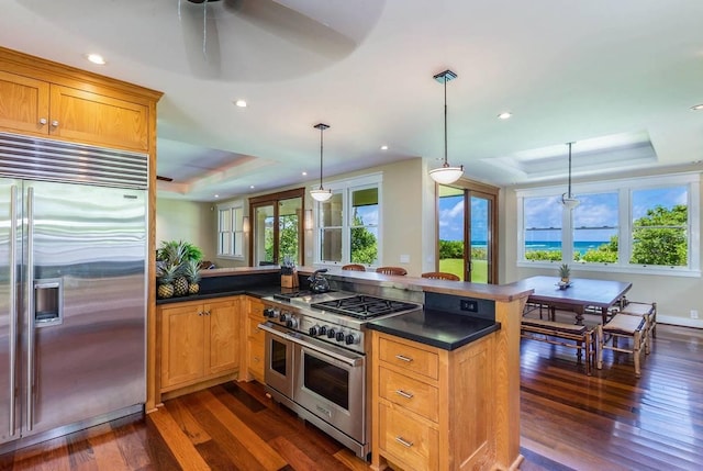 5070 Kukuna Rd, Anahola, HI 96746 - kitchen featuring high end appliances, a tray ceiling, dark wood-type flooring, dark countertops, and recessed lighting