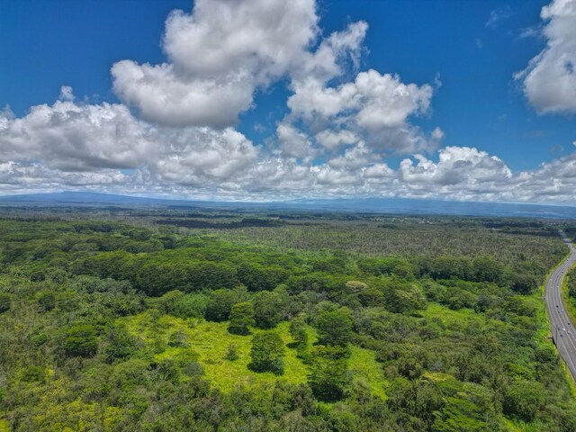 16-1276 Keaau Pahoa Rd, Keaau, HI 96749 - photo 2