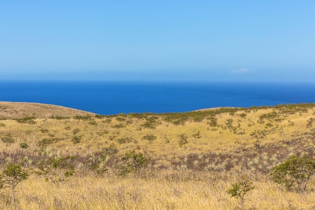Kamakani Loop, Kapaau, HI 96743