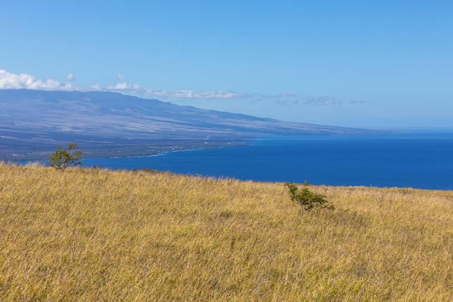 Kamakani Loop, Kapaau, HI 96743