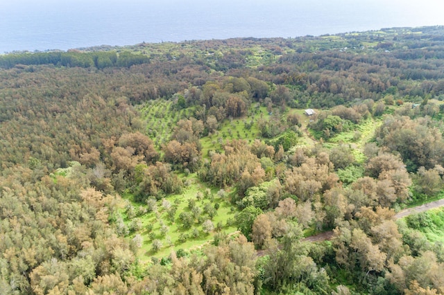 47-4630 Cane Haul Rd, Honokaa, HI 96727